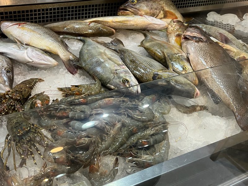 2026 02 02x - JoceMidée.jpg