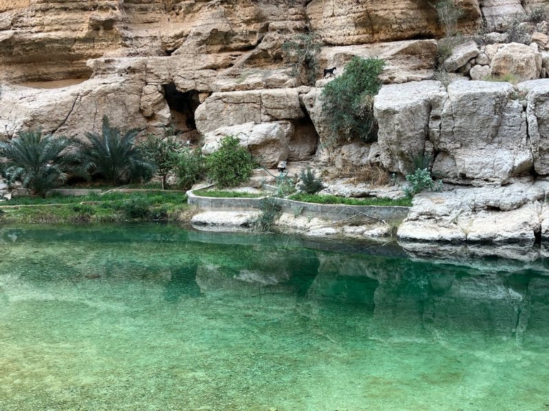 2026 02 03c - JoceMidée.jpg