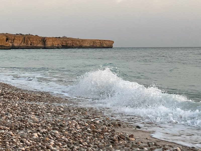 2026 02 04c - JoceMidée.jpg