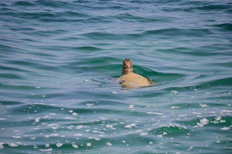 2026 02 04g - JoceMidée.jpg