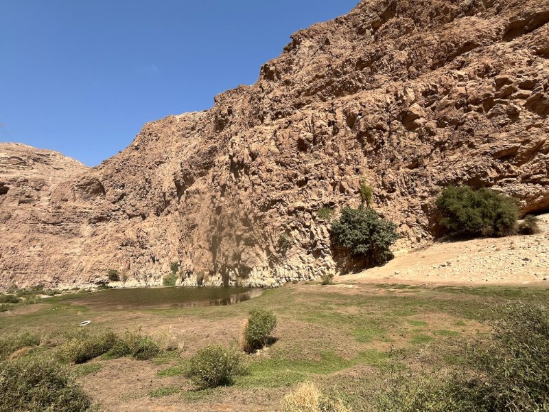 2026 02 04j - JoceMidée.jpg