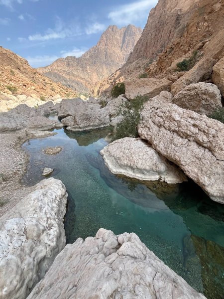 2026 02 04r - JoceMidée.jpg