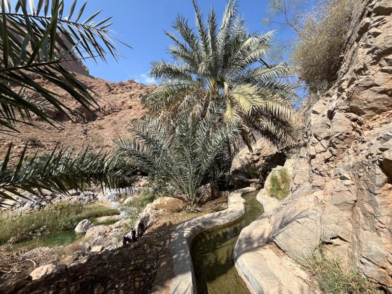 2026 02 04s - JoceMidée.jpg