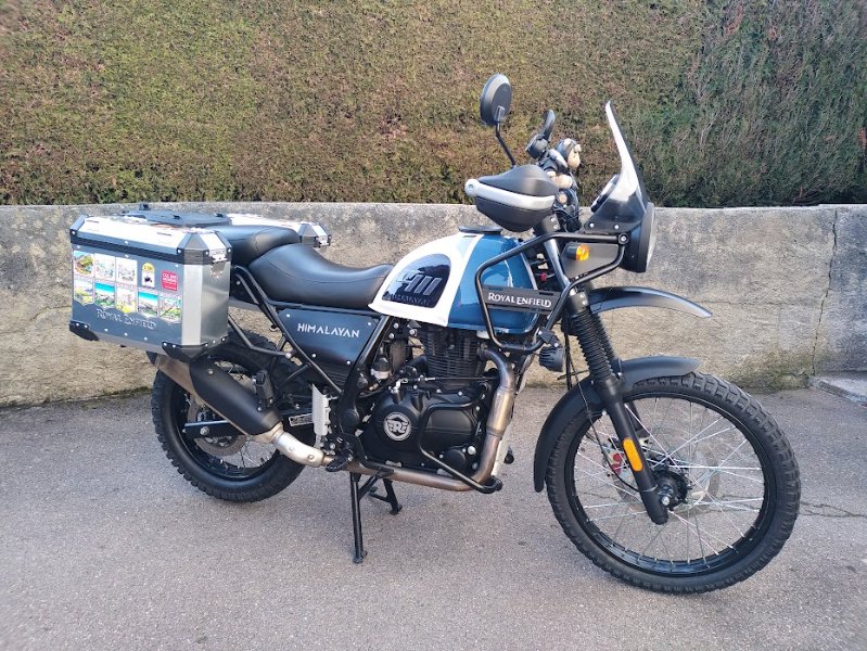 2026 02 05a - Grippe-genoux.jpg