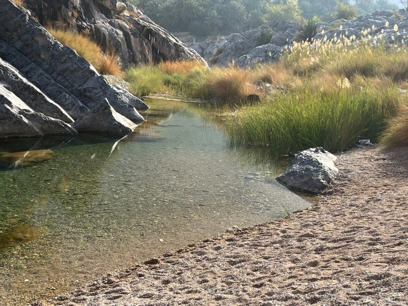 2026 02 05b - JoceMidée.jpg