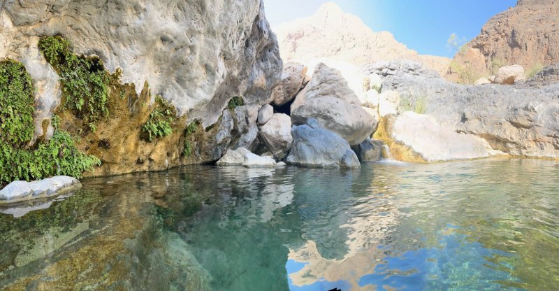 2026 02 05f - JoceMidée.jpg