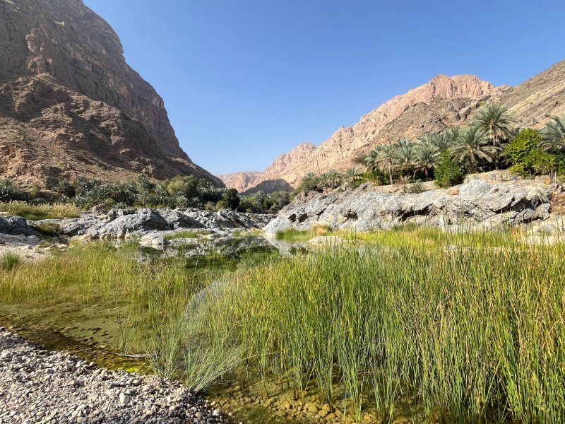 2026 02 05h - JoceMidée.jpg