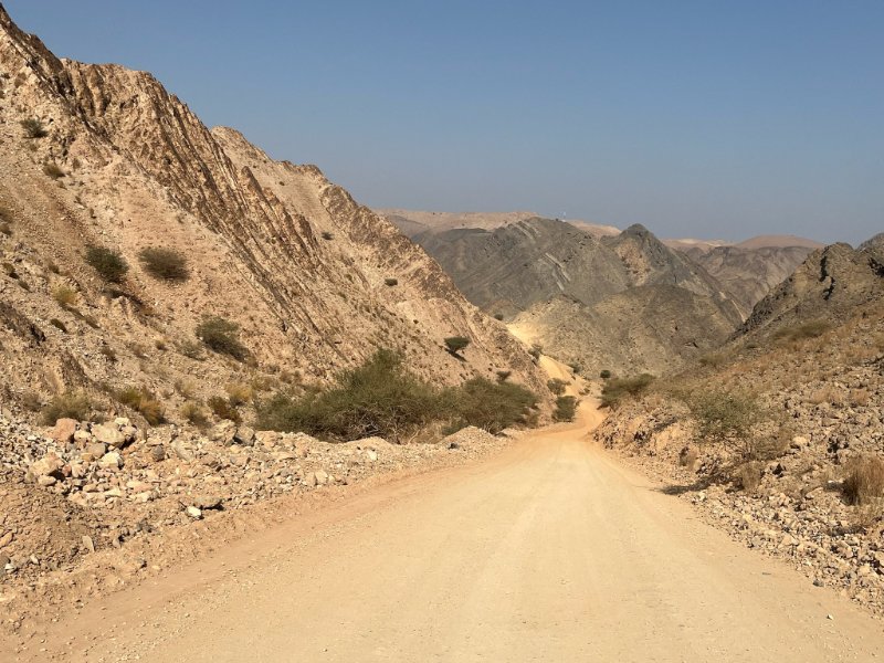 2026 02 05j - JoceMidée.jpg