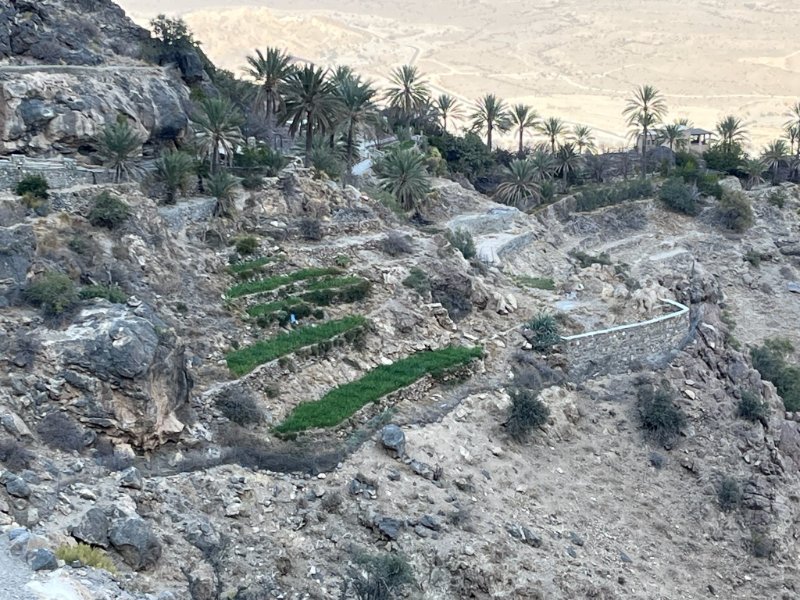 2026 02 05o - JoceMidée.jpg