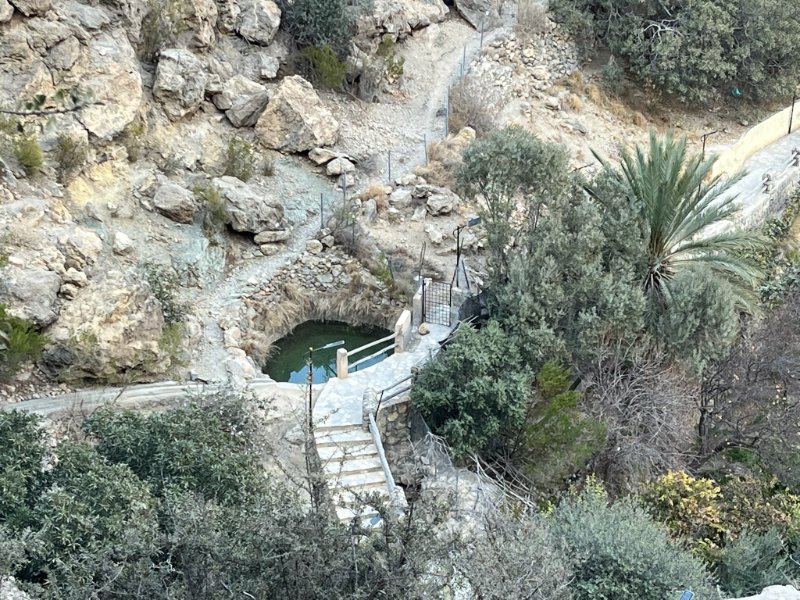 2026 02 05q - JoceMidée.jpg