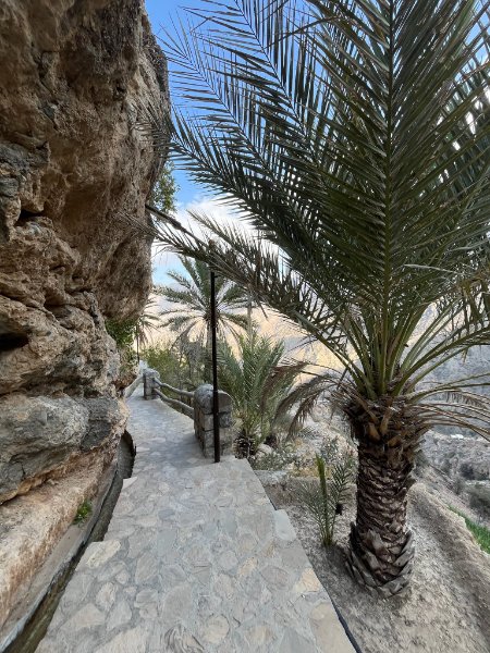 2026 02 05r - JoceMidée.jpg