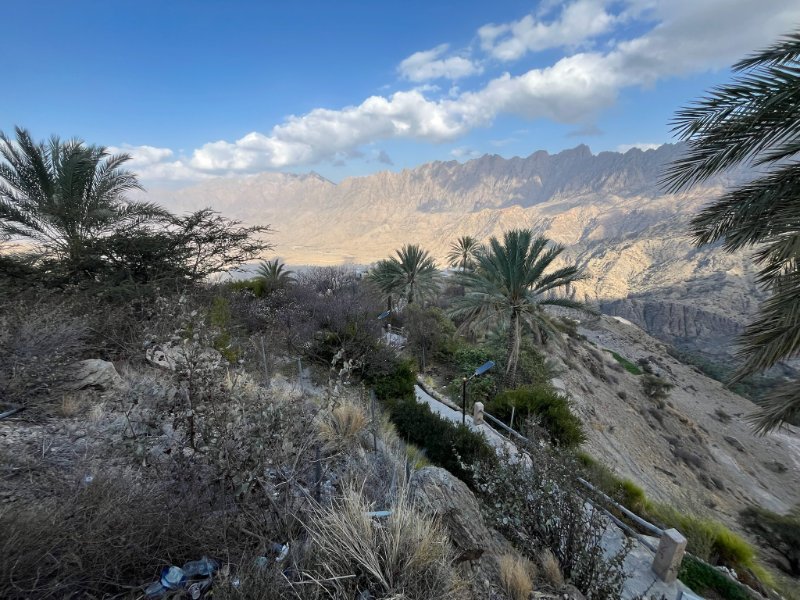 2026 02 05s - JoceMidée.jpg