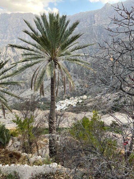 2026 02 05u - JoceMidée.jpg