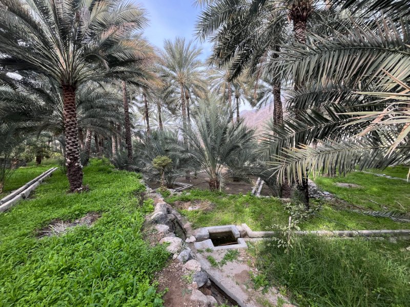 2026 02 06j - JoceMidée.jpg