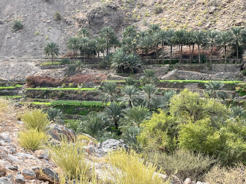 2026 02 06l - JoceMidée.jpg