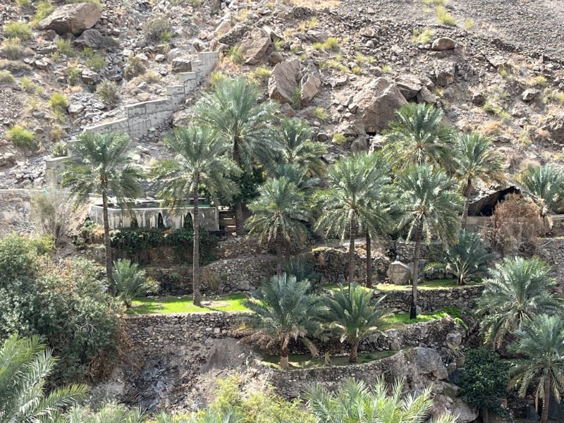 2026 02 06n - JoceMidée.jpg