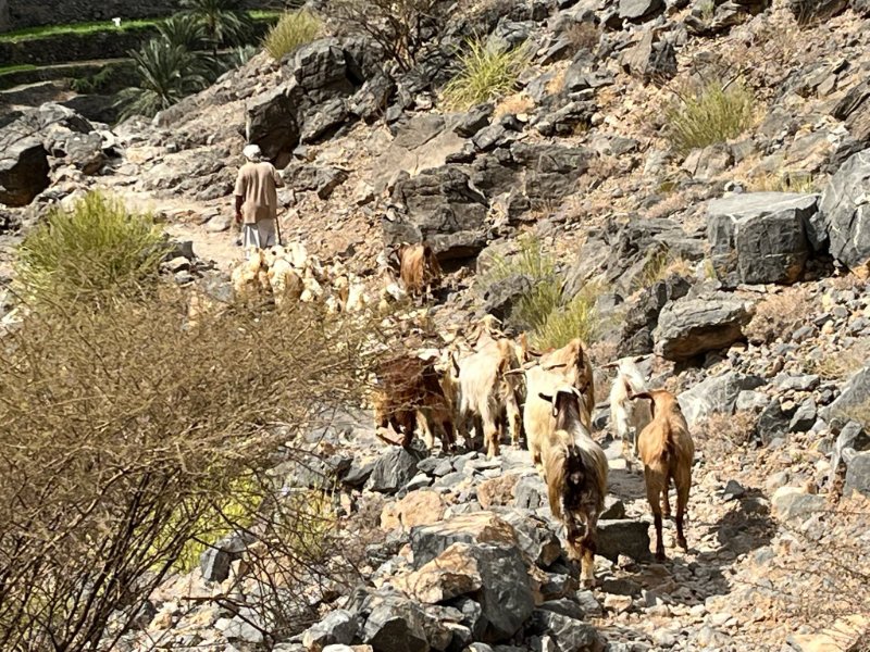 2026 02 06o - JoceMidée.jpg