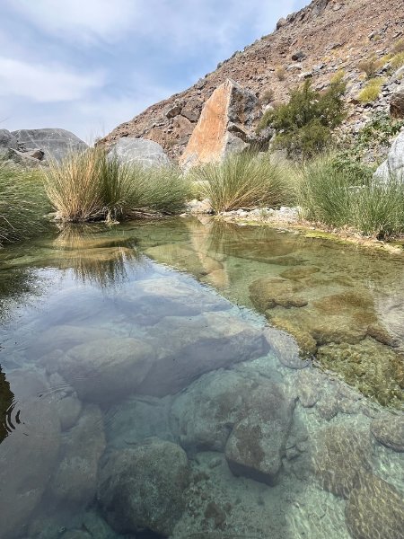 2026 02 06p - JoceMidée.jpg