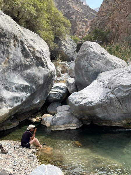 2026 02 06s - JoceMidée.jpg