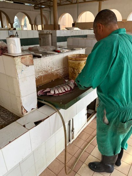 2026 02 07d - JoceMidée.jpg