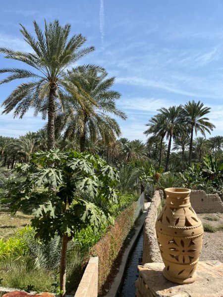 2026 02 07l - JoceMidée.jpg