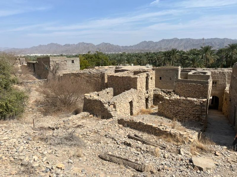 2026 02 07n - JoceMidée.jpg