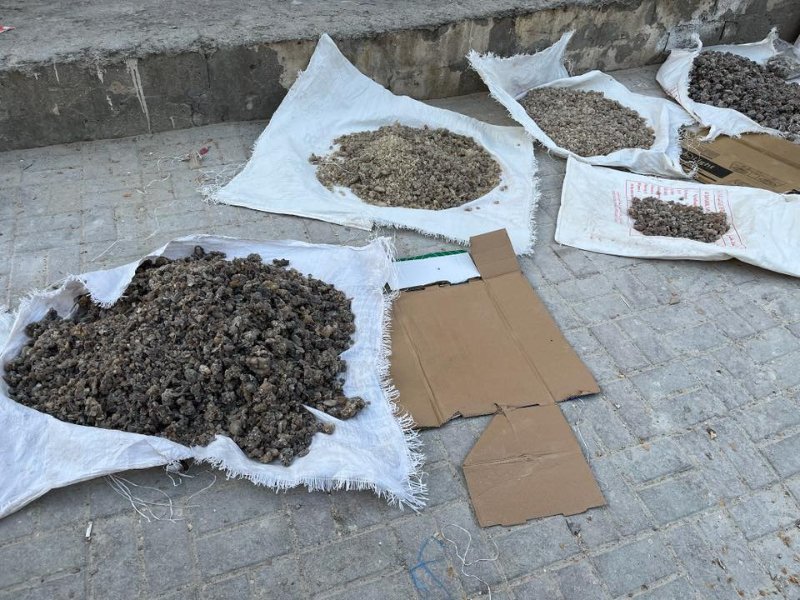 2026 02 09g - JoceMidée.jpg