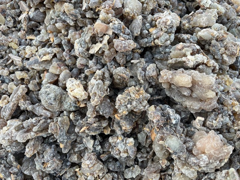 2026 02 09h - JoceMidée.jpg