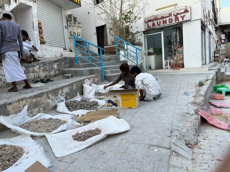 2026 02 09i - JoceMidée.jpg