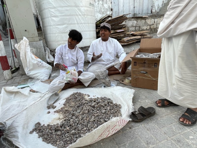 2026 02 09j - JoceMidée.jpg