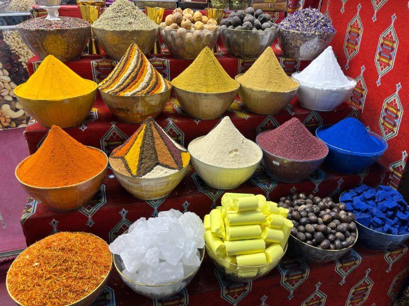 2026 02 09n - JoceMidée.jpg