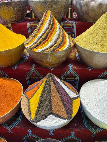 2026 02 09o - JoceMidée.jpg