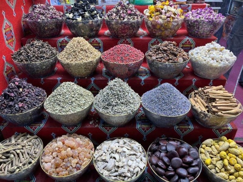 2026 02 09p - JoceMidée.jpg