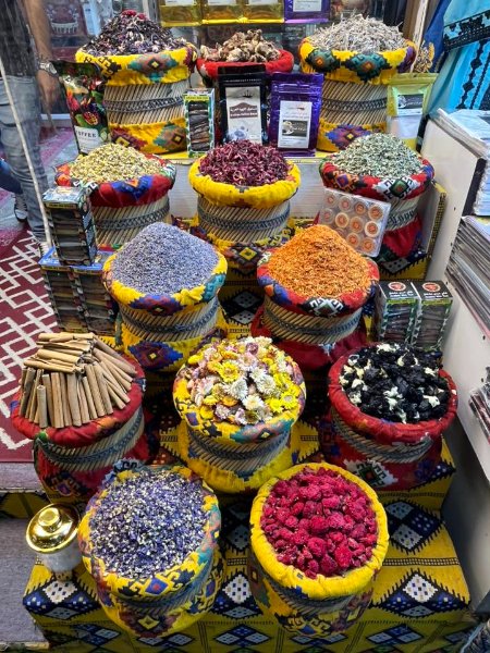 2026 02 09q - JoceMidée.jpg