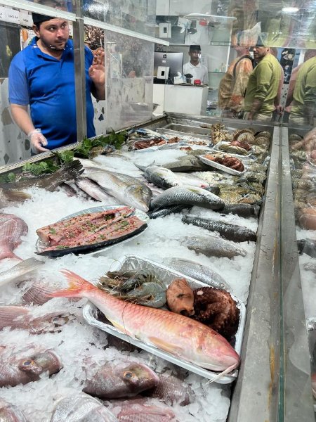 2026 02 09t - JoceMidée.jpg