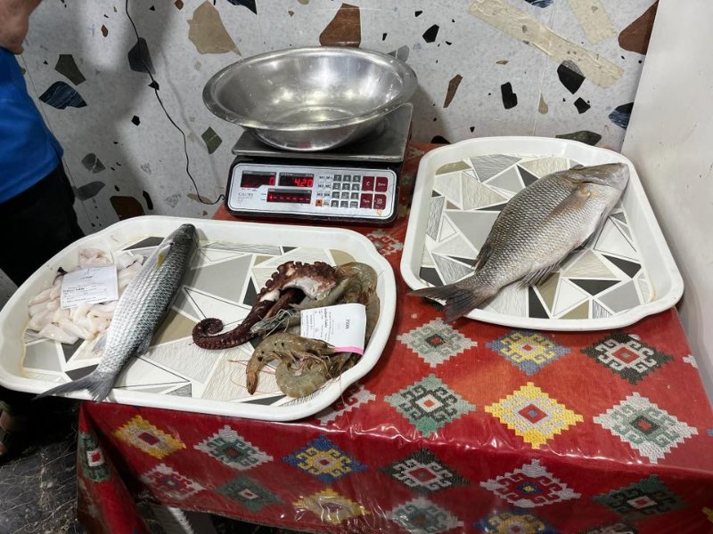 2026 02 09v - JoceMidée.jpg