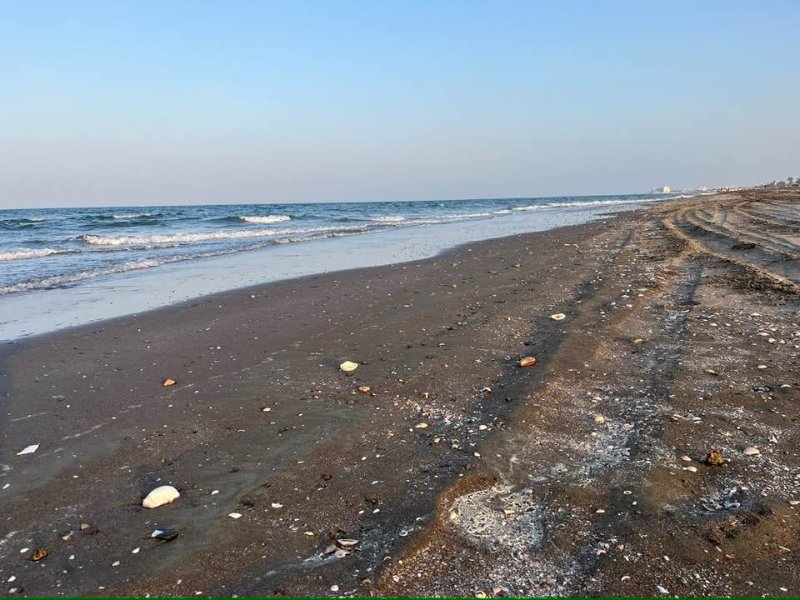 2026 02 11a - JoceMidée.jpg