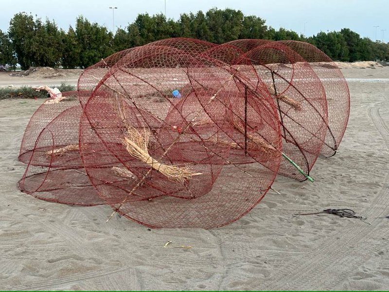 2026 02 11g - JoceMidée.jpg