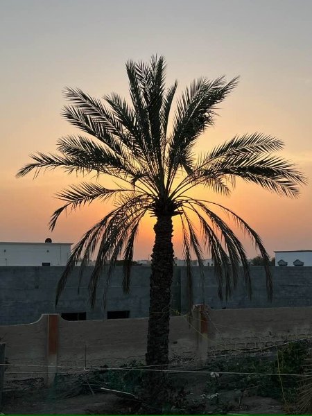 2026 02 11j - JoceMidée.jpg