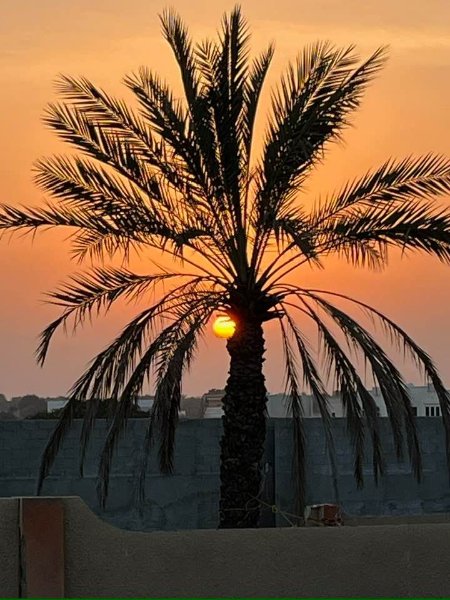 2026 02 11ja - JoceMidée.jpg