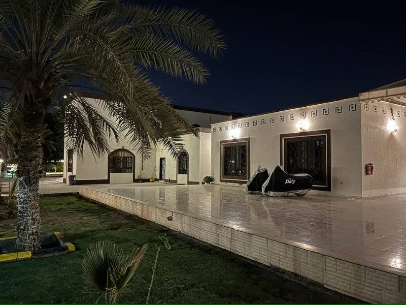 2026 02 11jb - JoceMidée.jpg