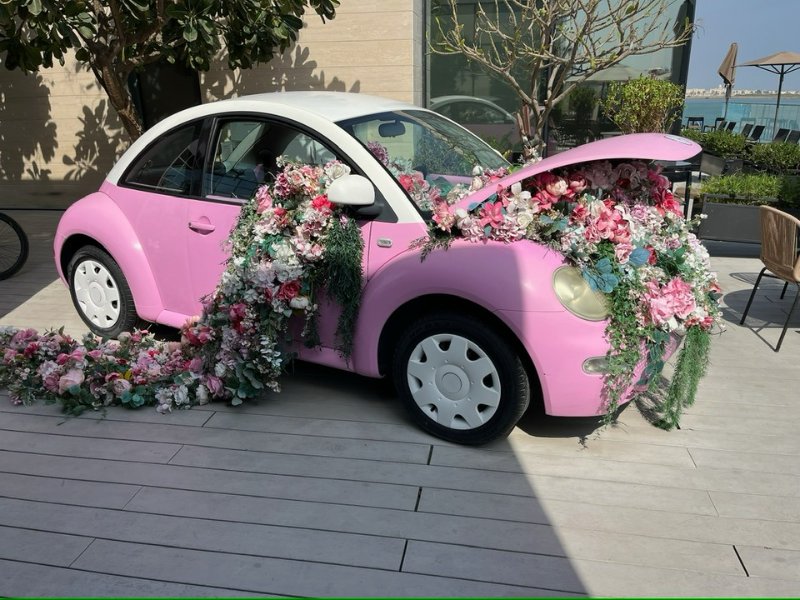 2026 02 12c - JoceMidée.jpg