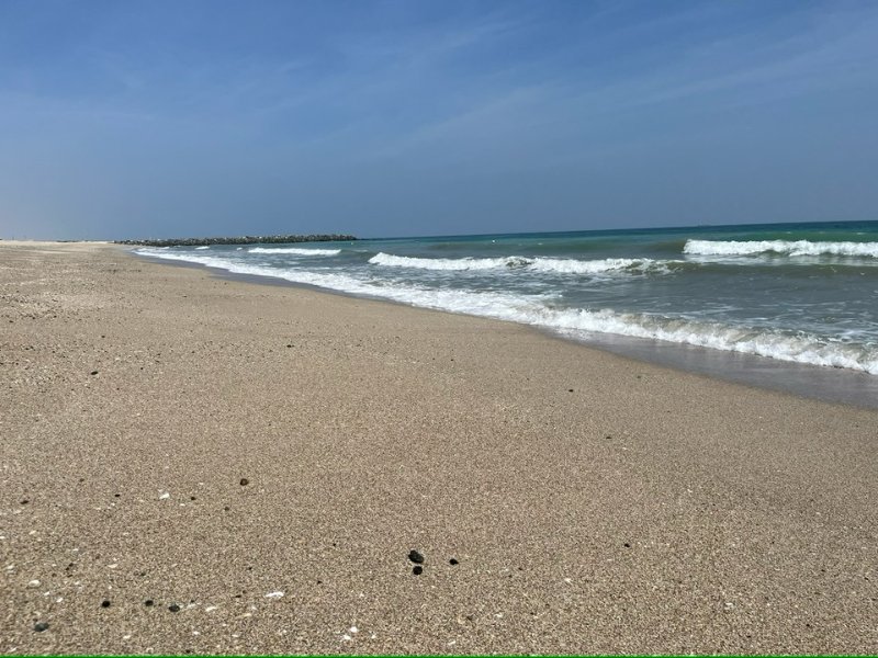 2026 02 12d - JoceMidée.jpg