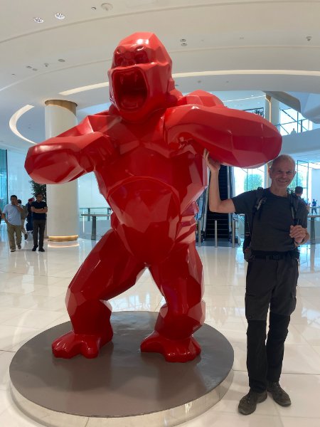 2026 02 13l - JoceMidée.jpg