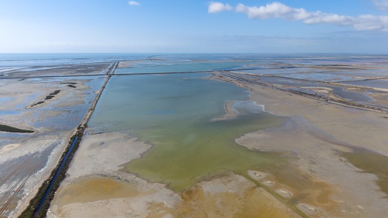 Camargue et La Cappelle-38.jpg