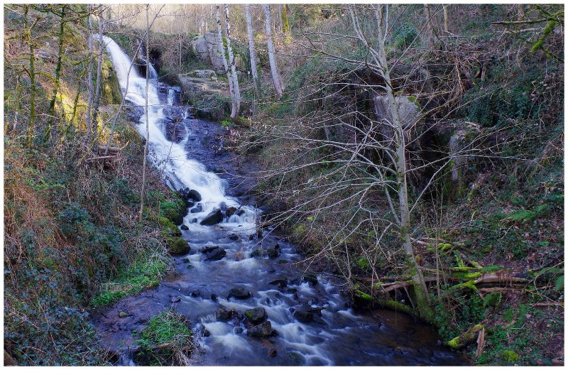04 mars 2026 F 01 Gorges de Narvau (8)pt.jpg