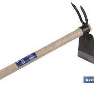 téléchargement (1).jpg