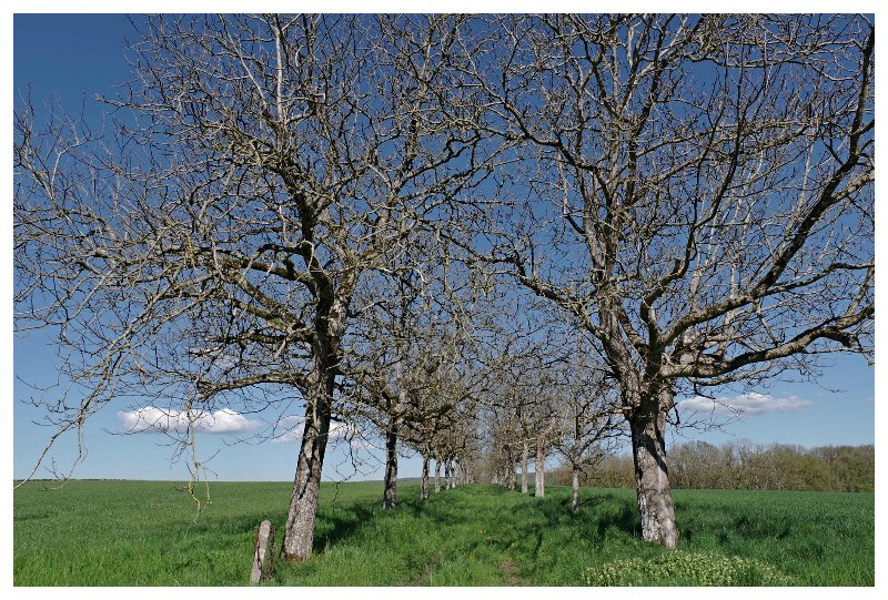 07 AVRIL 2026 MORVAN (50).jpg