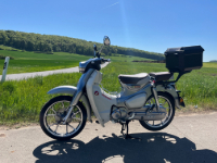 Avatar du membre
