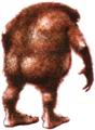 Avatar du membre